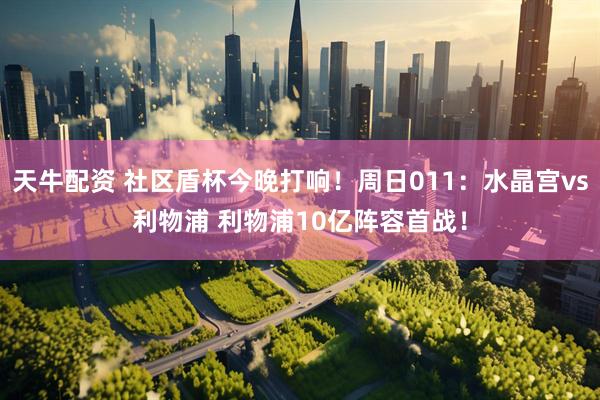 天牛配资 社区盾杯今晚打响！周日011：水晶宫vs利物浦 利物浦10亿阵容首战！