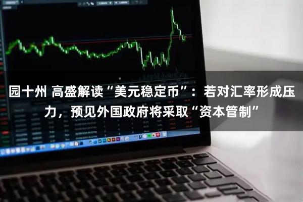 园十州 高盛解读“美元稳定币”：若对汇率形成压力，预见外国政府将采取“资本管制”