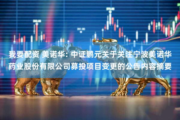 我要配资 美诺华: 中证鹏元关于关注宁波美诺华药业股份有限公司募投项目变更的公告内容摘要